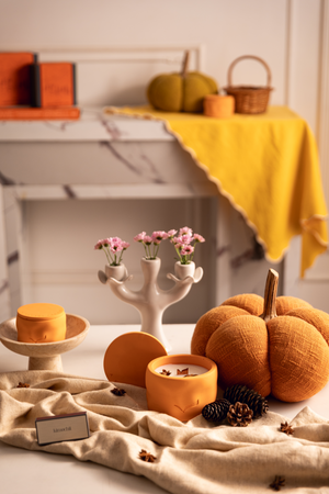 Under The Winter Sun