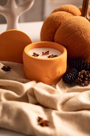 Under The Winter Sun