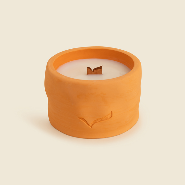 Under The Winter Sun