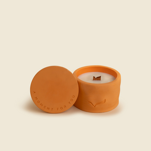 Under The Winter Sun