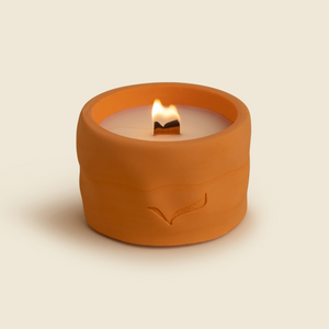 Under The Winter Sun